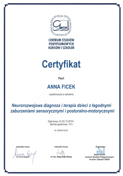 Neurorozwojowa diagnoza i terapia dzieci z łagodnymi zaburzeniami sensorycznymi i posturalno-motorycznymi, Anna Ficek fizjoterapeuta dziecięcy Kraków Apriori Centrum